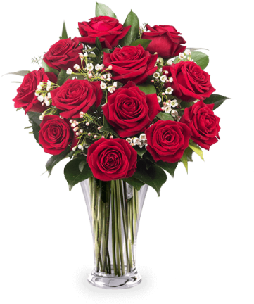 12 Red Roses - Mazzo Di Fiori Immagini (480x480), Png Download