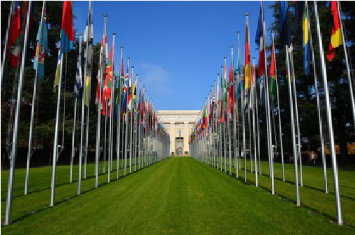 Urgent Call To Thai Government To Follow Commitments - Lawn (810x337), Png Download