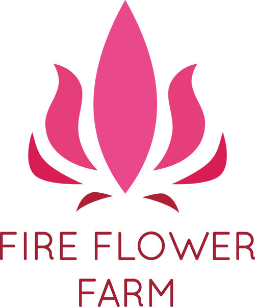 Fireflower Farm - Putty On Wall Before After (500x602), Png Download