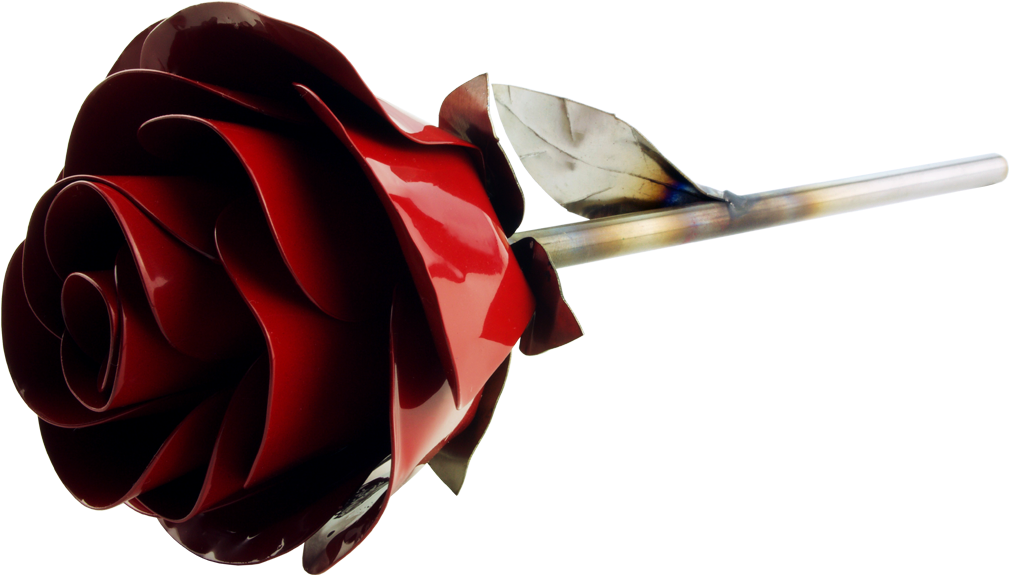 Stainless Rose Fire Engine Red - Fire Engine Red (1024x1024), Png Download