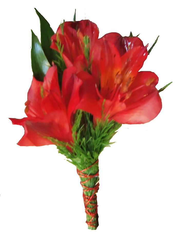 More Views - Bouquet (686x921), Png Download