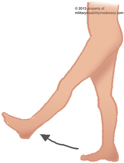 Lower Nerve 25 - Thigh Flexion Femoral Nerve (414x540), Png Download