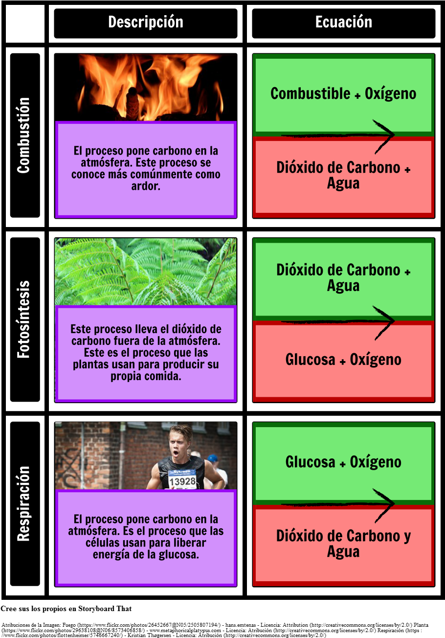 Carbon Cycle (931x1341), Png Download
