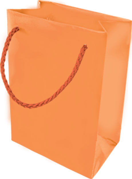 Picture Of Initi Gift Bag - Orange Gift Bags (461x625), Png Download