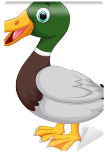 Cartoon Mallard Duck (400x400), Png Download