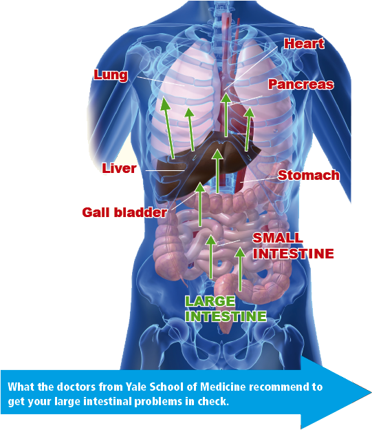 Those Who Ignore It Create A Never-ending Sequence - Encyclopedia Of Colorectal Cancer: Cell And Molecular (541x624), Png Download