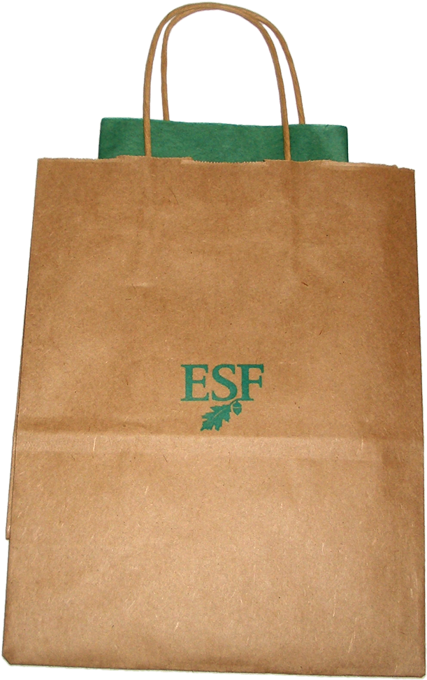 Gift Bag With Tissue - Gift (1000x1001), Png Download