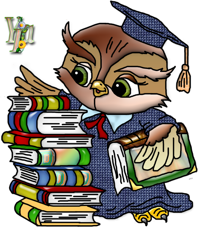 Owl School, School Teacher, School Ideas, School Cartoon, - Умная Сова (800x800), Png Download