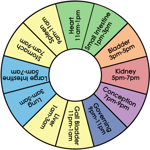 You Can Click On The Clock For Specific Information - Circle (504x504), Png Download