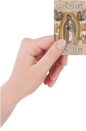 Pc Olg Back Pc Olg Hand - Virgin Of Guadalupe. Banner (491x491), Png Download