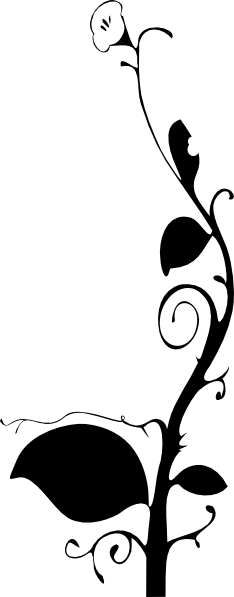 Elegant Green Floral Design Shower Curtain (234x597), Png Download