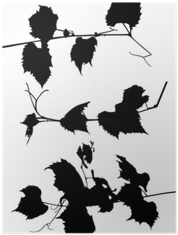 Vine Silhouettes (400x400), Png Download