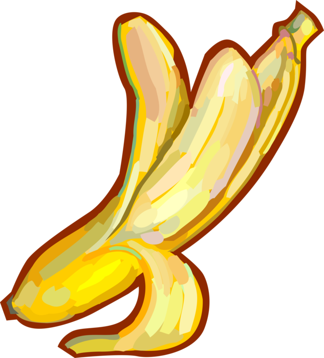 Vector Illustration Of Peeled Banana Edible Fruit - Banana Descascada Png (633x700), Png Download