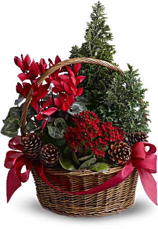 Home › Christmas Flowers › - Tannenbaum Basket (368x460), Png Download