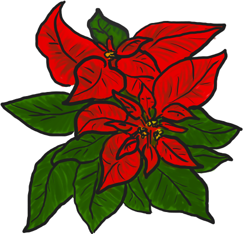 Bouquet Clipart Poinsettia - Red Poinsettia Cartoon (500x500), Png Download