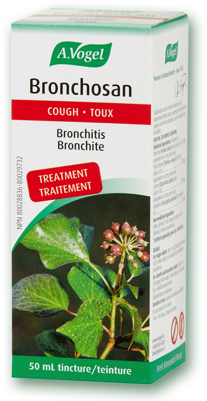 Vogel Bronchosan® Herbal Cough Expectorant - Ivy-thyme Complex Drops (800x800), Png Download