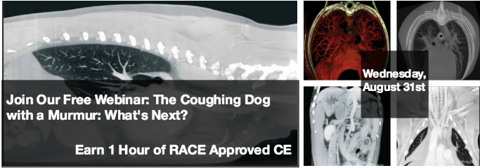 Ce Webinar -the Coughing Dog With A Murmur - Caa South Central Ontario (698x254), Png Download