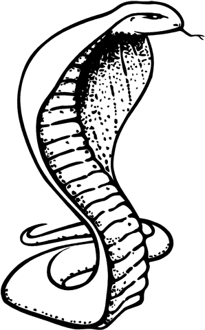 4in - 300px - Png Logo Snake (300x486), Png Download