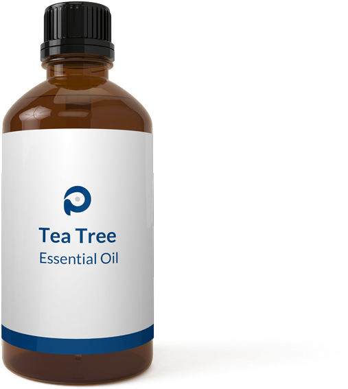 Private Label Tea Tree Oil Supplier Uk - Kalahari Melon Seed Price (534x600), Png Download