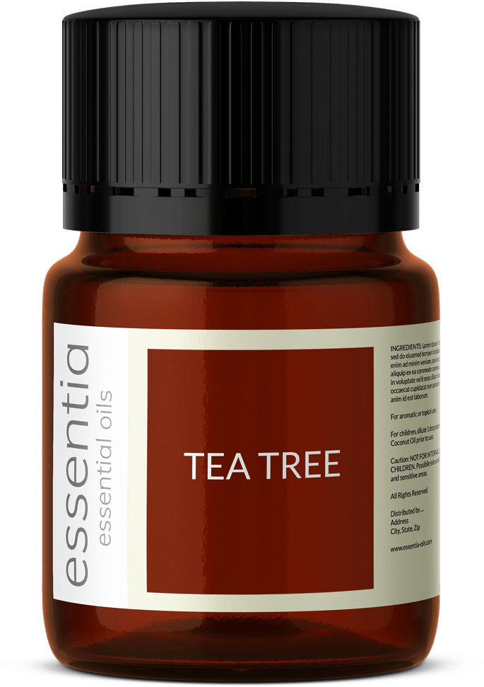 Tea Tree - Gum Trees (1000x1000), Png Download