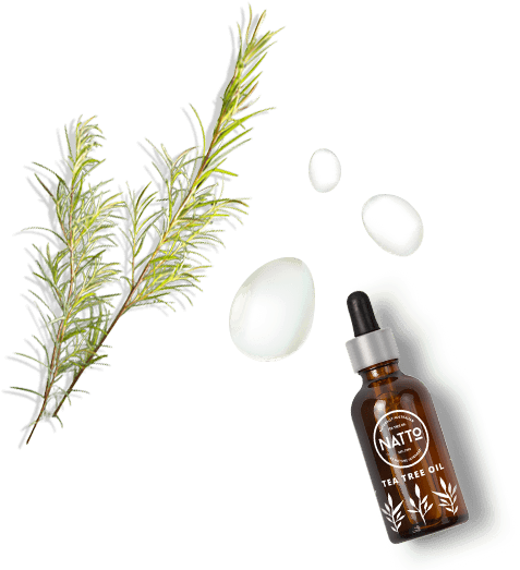 About Tea Tree Drops - Tea (530x530), Png Download