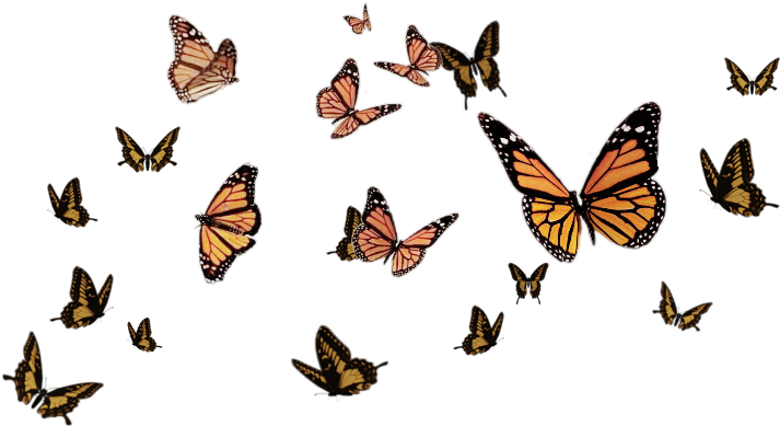 Sign In To Save It To Your Collection - Religion, Philosophy And Life: The Reasons Behind Action (900x500), Png Download