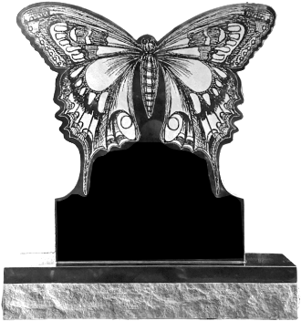 Name - Butterfly 33 (776x425), Png Download