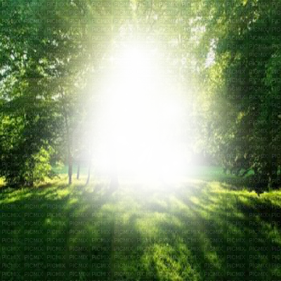 Forest Frame Png (400x400), Png Download