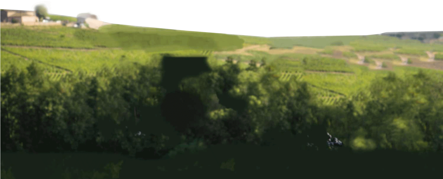 Rural Area (1500x916), Png Download