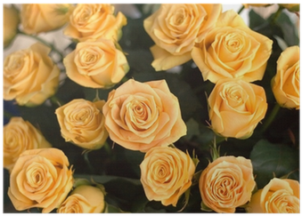 Wedding Bouquet, Bunch Of Yellow Roses Flowers Poster - Wedding (400x400), Png Download