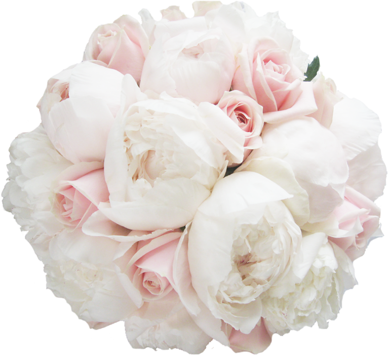 Explore Wedding Bouquets, Floral Bouquets, And More - Pivoine Bouquet Png (800x800), Png Download
