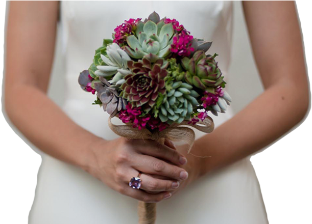 Great Succulent Wedding Bouquets Succulent Wedding - Succulent Bouquet (633x439), Png Download
