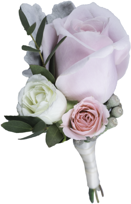 Corsage - Uttar Pradesh (960x540), Png Download