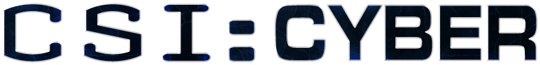 Csi Cyber Logo - Csi Cyber Logo Png (800x310), Png Download