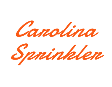 Picture - South Carolina (417x356), Png Download