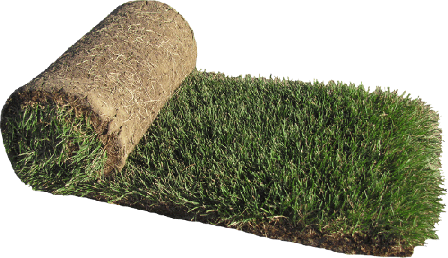 Hd2000® Kentucky Bluegrass In 10sqft Rolls - Kentucky Bluegrass Sod (650x375), Png Download