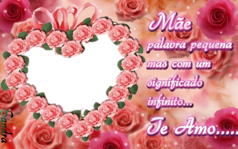 Molduras Em Png Para Download - Garden Roses (800x500), Png Download