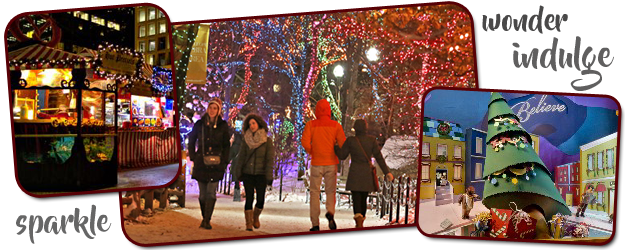 We Were Overwhelmed With The Response And Interest - Christmas Lights (625x250), Png Download