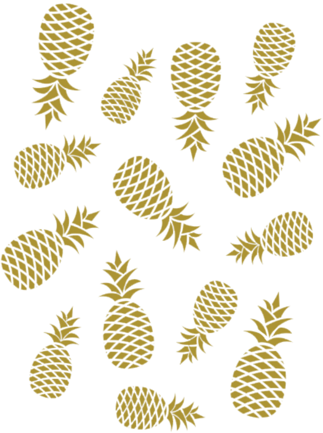 Abacaxi Png (1024x1024), Png Download