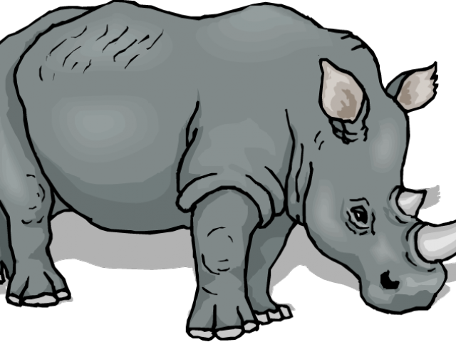 Jpg Library Download Rhino Clipart - Rhinop Clipart (640x480), Png Download