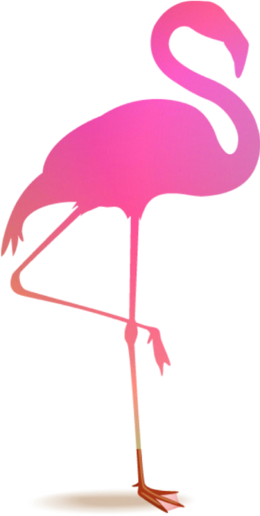 Flamingo Flamenco Blackandpinkblackpink - Flamingo Picsart (1024x1024), Png Download