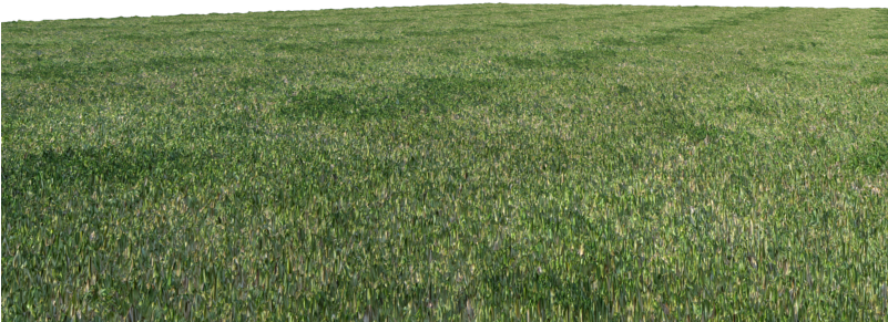 Grass Blade Texture Png Download - Grass Png Render (800x600), Png Download