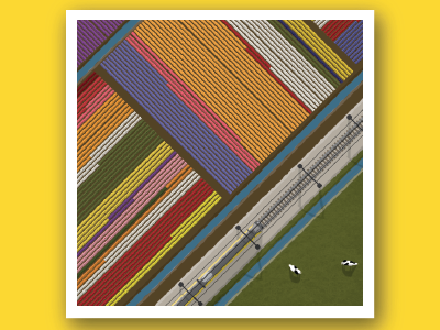 The Netherlands Are Famous For Their Tulips, Which - Train (400x300), Png Download