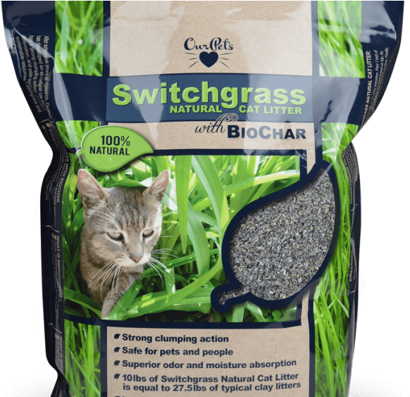 biochar cat litter