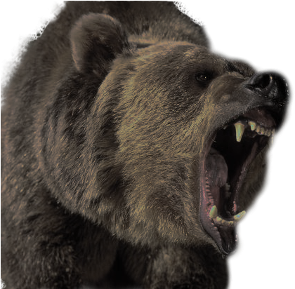 [img]https - //wackygoofball - Files - Wordpress - - Bear Grizzly Attack (451x411), Png Download