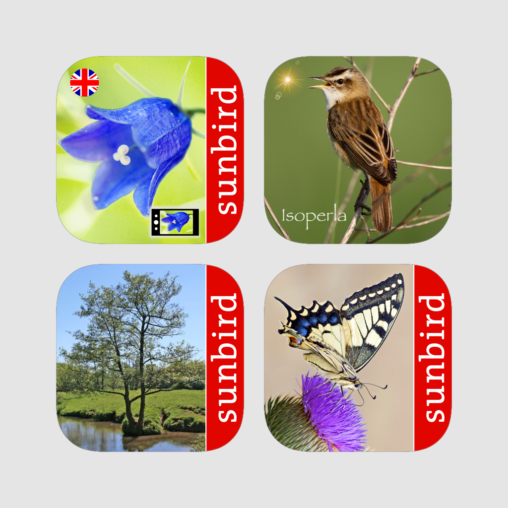 Sunbird Nature Box Uk - United Kingdom (1024x1024), Png Download