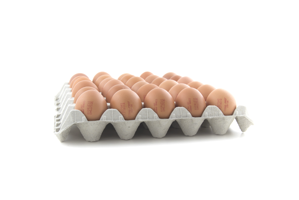 Huevo Campomayor Caja 15 Docenas Talla M - Egg (630x424), Png Download