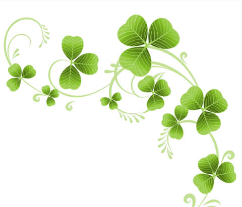 128129035 5948199 Mc Irishsass E02 (480x411), Png Download