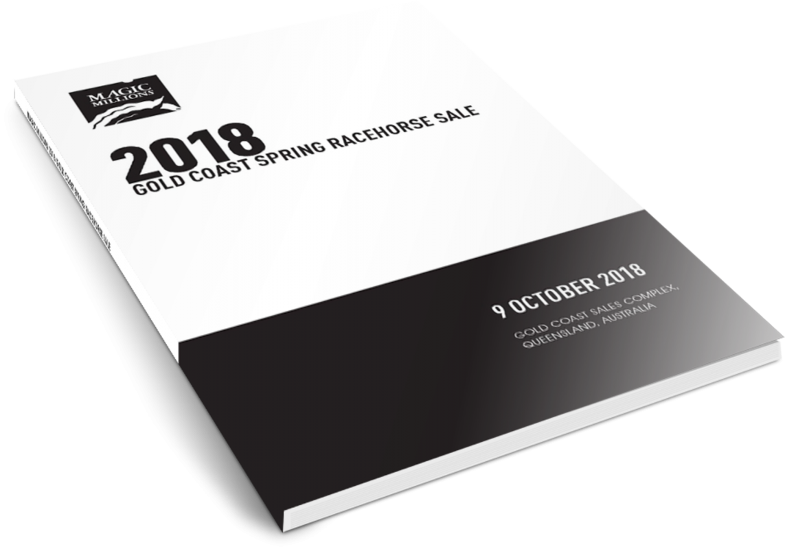 Pdf Catalogue - Gold Coast (1143x800), Png Download