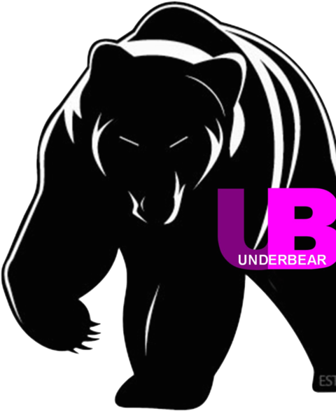 Underbear Party - Grizzly Bear Vector Png (482x624), Png Download
